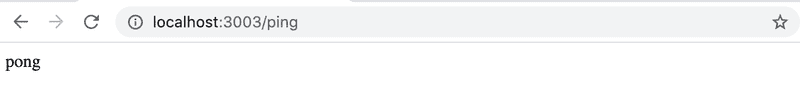browser result showing pong on /ping